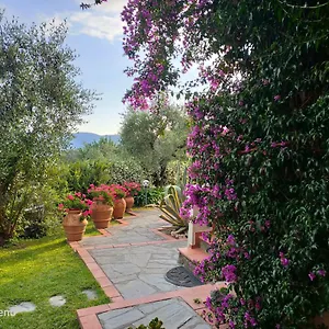  Apartment Chiara
